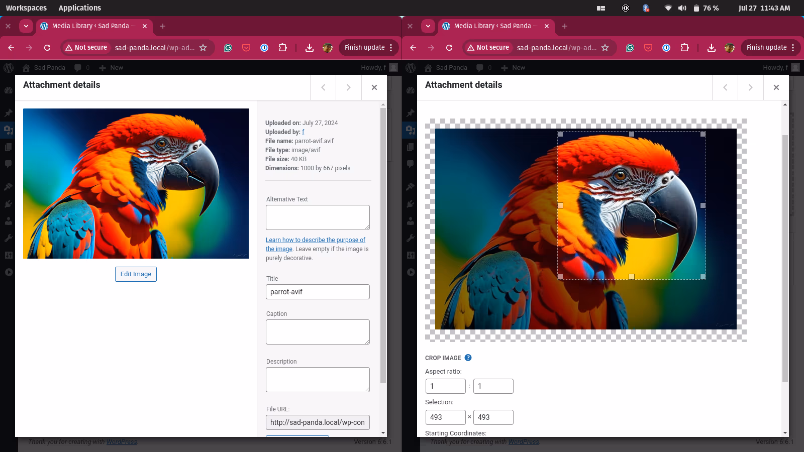 An example of the WordPress media library editing an AVIF image.
