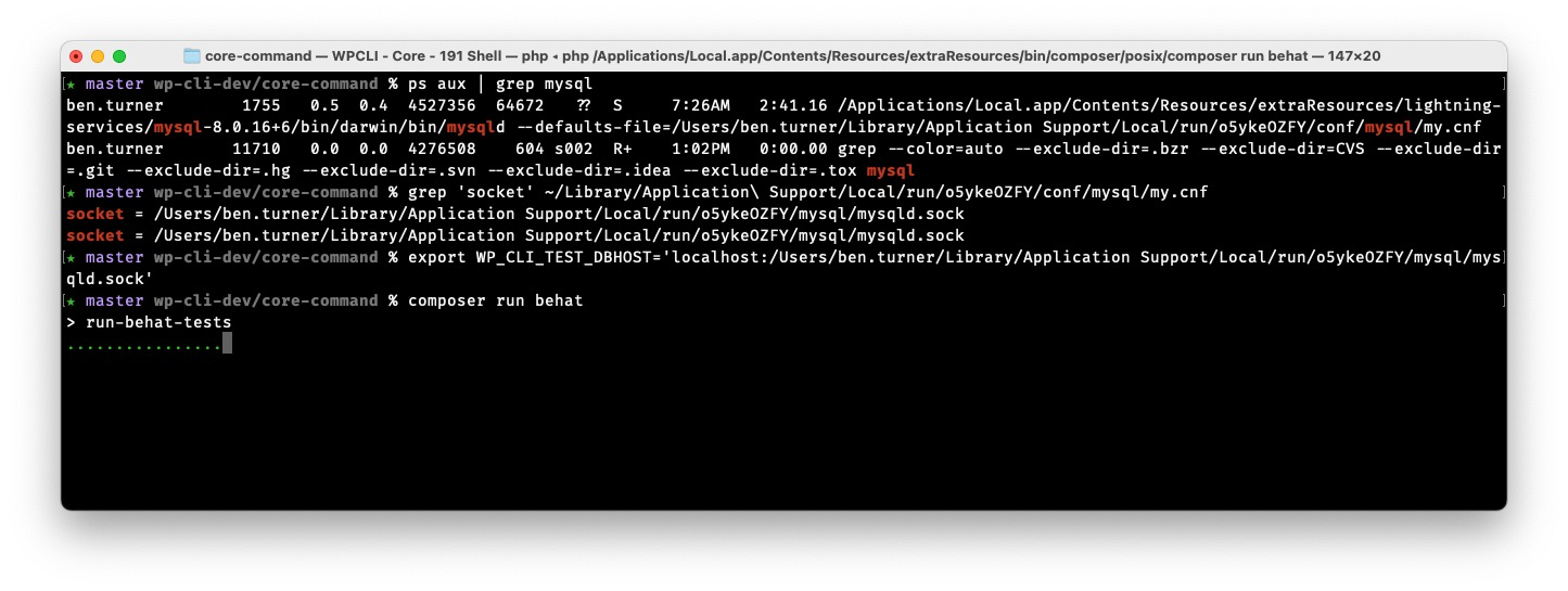 A screenshot of zeroing in on where to find the socket for the Local site.